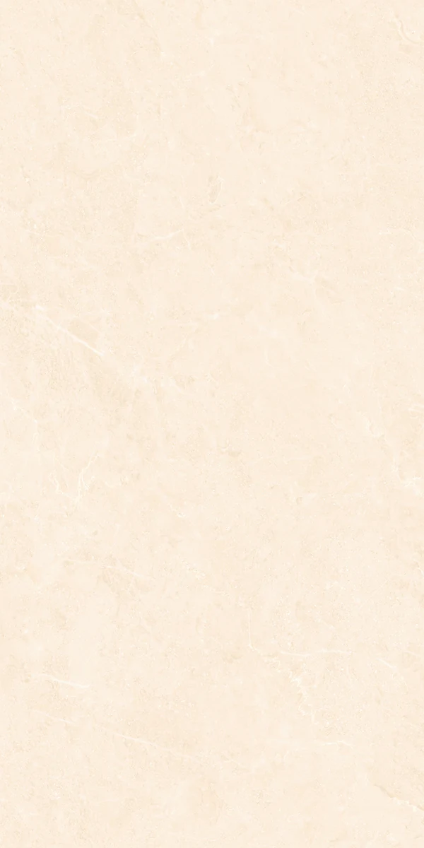 Mặt gạch BM-G61205P1 — góc 5 — 600x1200mm